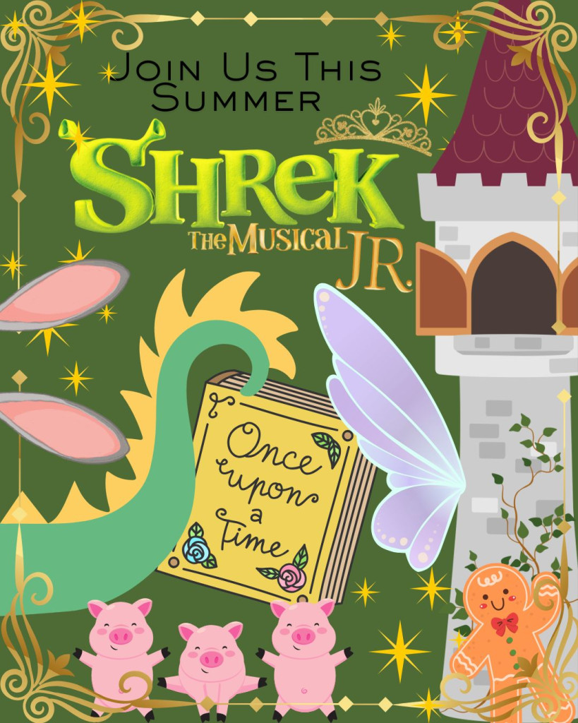 MS Summer Workshop 26 image